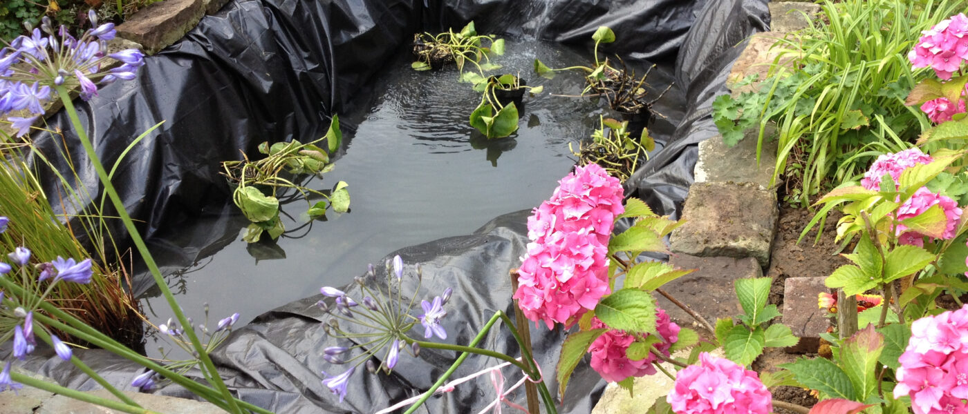 Gartenteich anlegen – Eine mit Folie ausgelegte Teichgrube, die gerade mit Wasser befüllt wird.