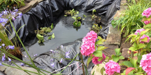 Gartenteich anlegen – Eine mit Folie ausgelegte Teichgrube, die gerade mit Wasser befüllt wird.