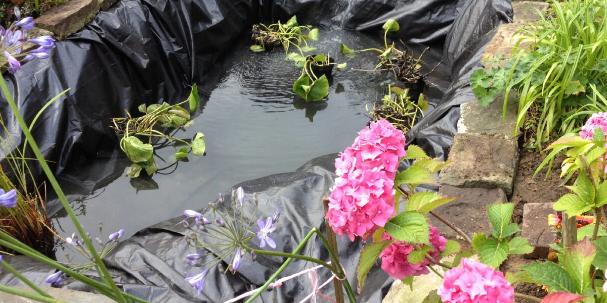 Gartenteich anlegen: Schritt-für-Schritt-Anleitung für Ihr Teichprojekt