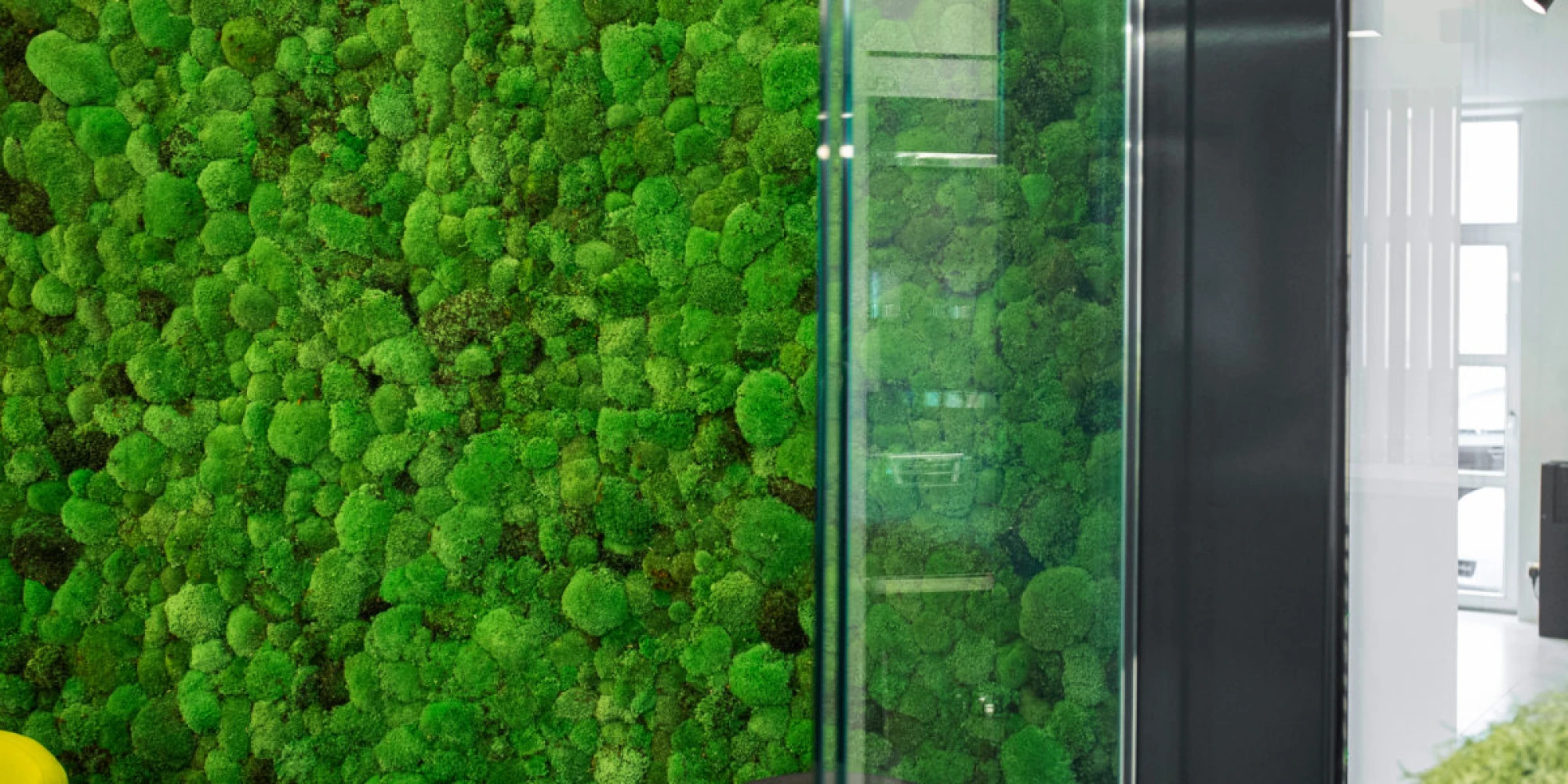 Hoch hinaus: ein vertikaler Garten für Balkon oder Terrasse